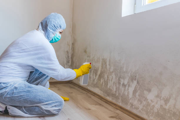 Hvac And Air Duct Mold Remediation inspection of HVAC system in Gardners