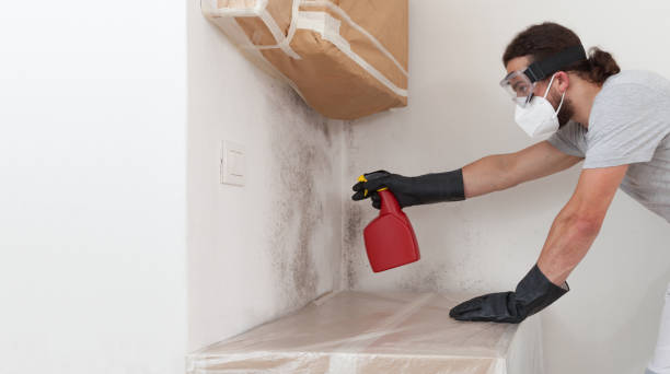 Basement Mold Remediation treatment on basement walls in Gardners